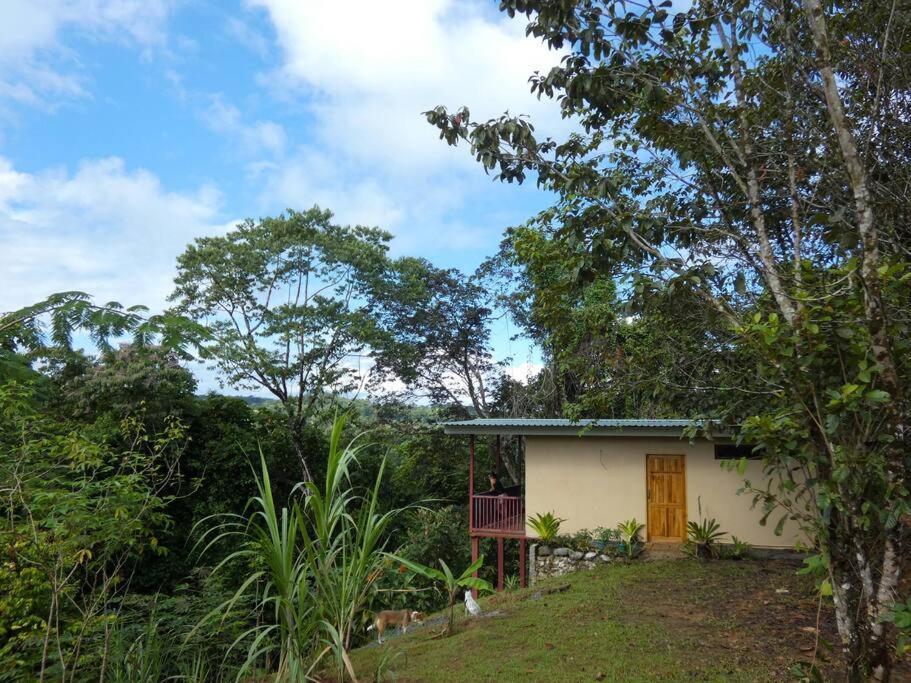 Tapiru'S House - Bahia Drake Appartement Drakes Bay Buitenkant foto