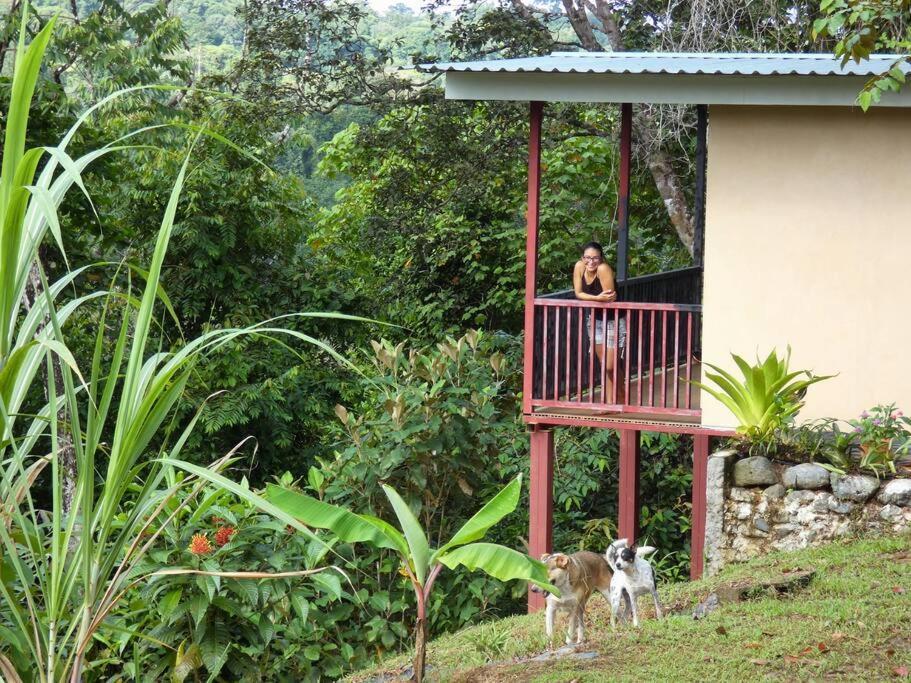 Tapiru'S House - Bahia Drake Appartement Drakes Bay Buitenkant foto