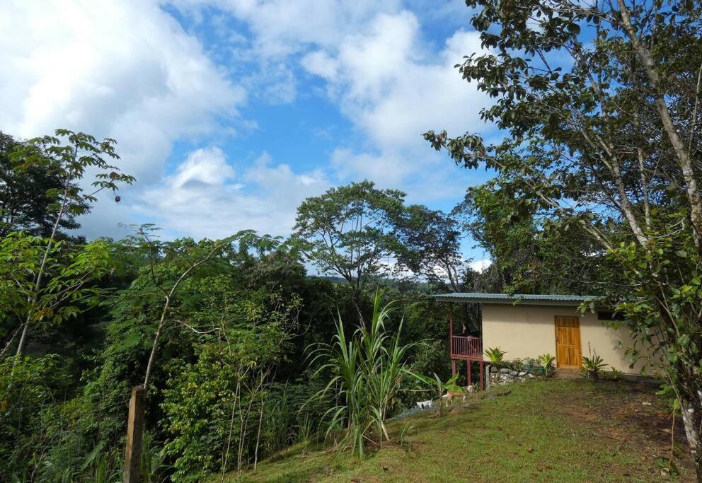 Tapiru'S House - Bahia Drake Appartement Drakes Bay Buitenkant foto